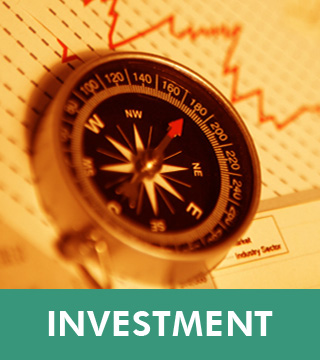 Investment